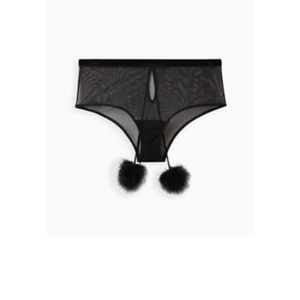 Torrid cheeky panty